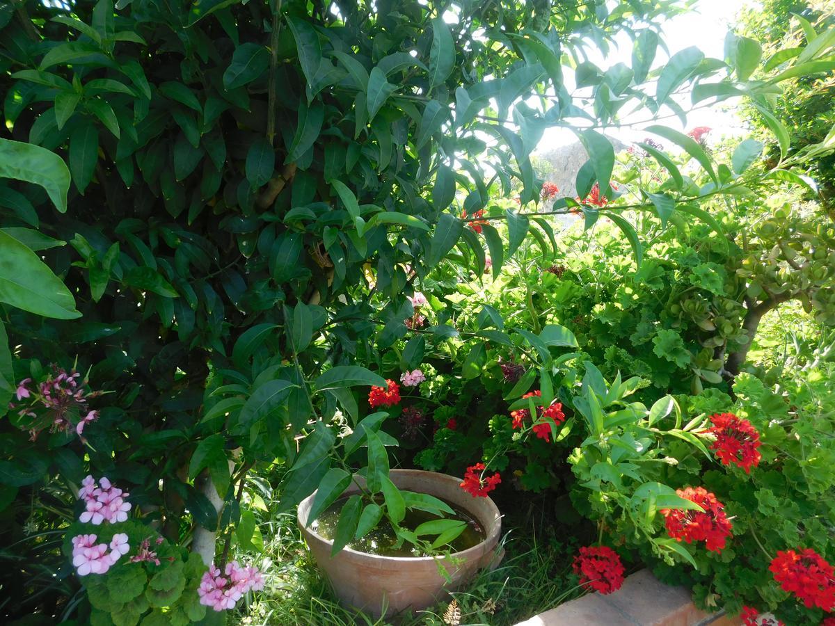 Bed and Breakfast Stella Marina Sea & Sun à Cefalù Extérieur photo
